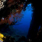 Wreck Photo